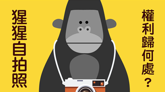 猩猩自拍照，權利歸何處？