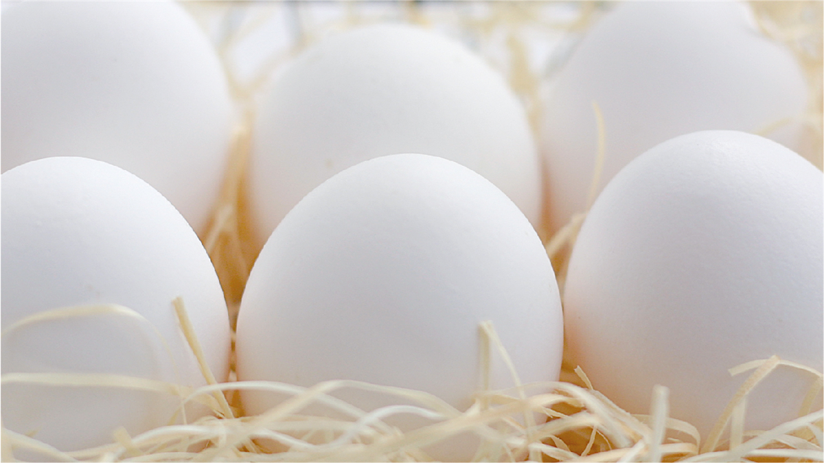 創新食品展 獨特巧思要保護